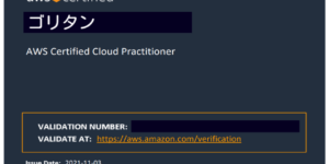 AWS Certified Cloud Practitioner (CLF)合格証