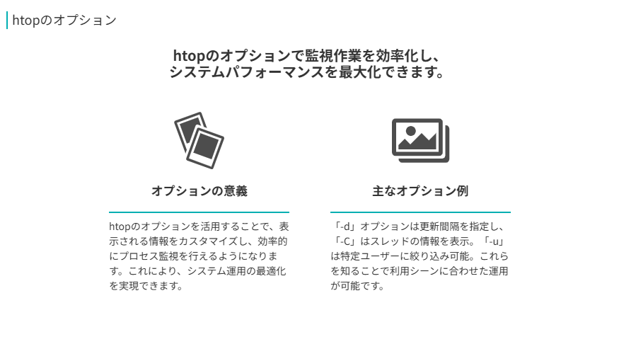 htopのオプション
htopのオプションで監視作業を効率化し、
システムパフォーマンスを最大化できます。
オプションの意義
htopのオプションを活用することで、表示される情報をカスタマイズし、効率的にプロセス監視を行えるようになります。これにより、システム運用の最適化を実現できます。
主なオプション例
「-d」オプションは更新間隔を指定し、「-C」はスレッドの情報を表示。「-u」は特定ユーザーに絞り込み可能。これらを知ることで利用シーンに合わせた運用が可能です。