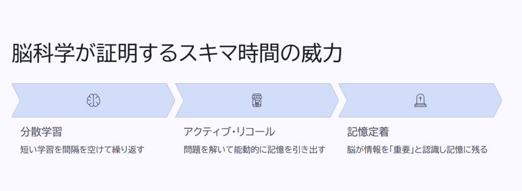 脳科学が証明するスキマ時間の威力

分散学習

短い学習を間隔を空けて繰り返す

アクティブ・リコール

問題を解いて能動的に記憶を引き出す

記憶定着

脳が情報を「重要」と認識し記憶に残る